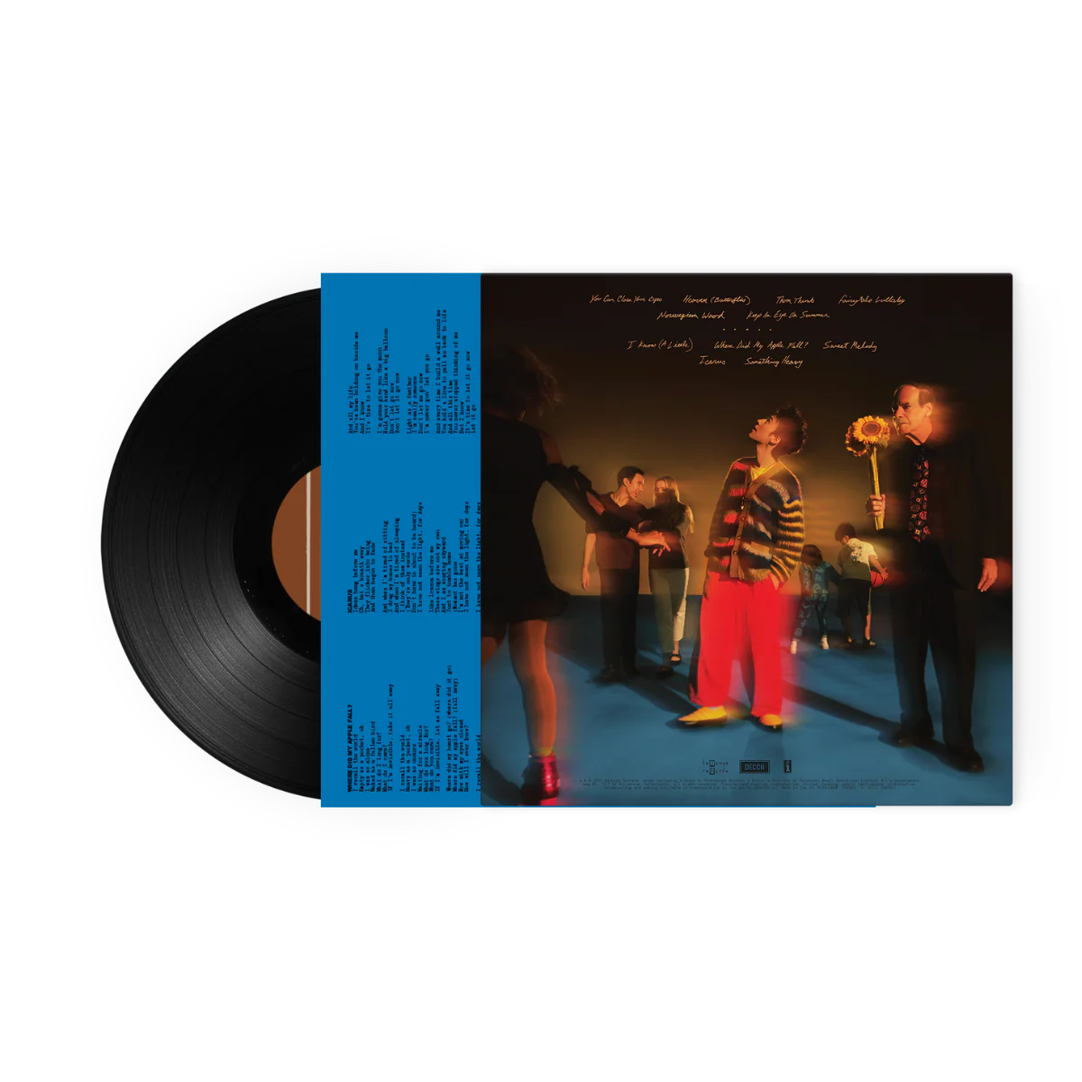 The Light For Days - Black 1LP Vinyl